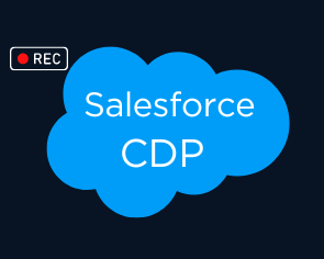 Salesforce CDP Training Videos
