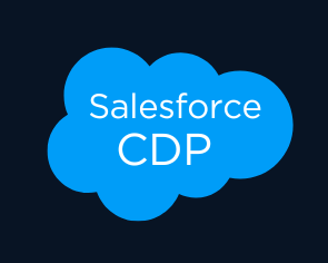 Salesforce Customer Data Platform